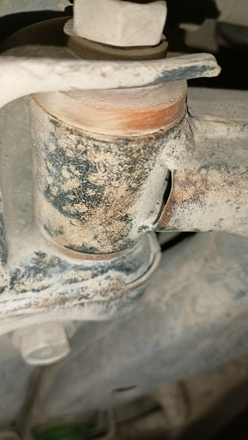 Control arm silent block, front suspension (round, rear) (sectional).