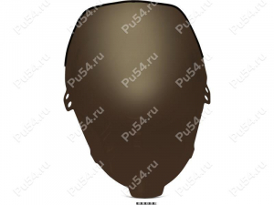 Motorcycle windshield, Product Code 55-44-178Pct, Polyurethane, Image №1