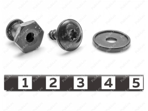 Push-in type clip (with self-tapping screw), Product Code 50-17-439, Polyurethane, Image №2