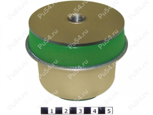 Trailing arm silent block, rear suspension, body,press-fitted, Product Code 24-06-20881, Polyurethane, Image №1