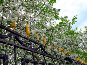 Decorative lance for metal fence, Product Code 75-00-003, Polyurethane, yellow, Image №3