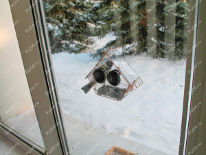 Plastic bird feeder with vacuum caps, Product Code 56-20-033, Polyurethane, orange, Image №6