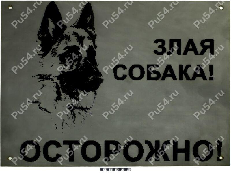 Nameplate "Beware of the dog", Product Code 56-01-032-01, Polyurethane, Image №1