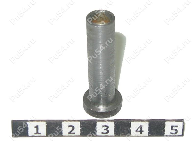 Cap, Product Code 91-00-001, Polyurethane, Image №1